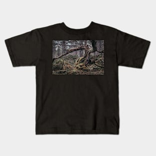 'Split Tree, Autumn', Blackwood of Rannoch, near Kinloch Rannoch. Kids T-Shirt